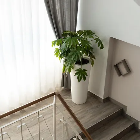 酒店 怡东大酒店